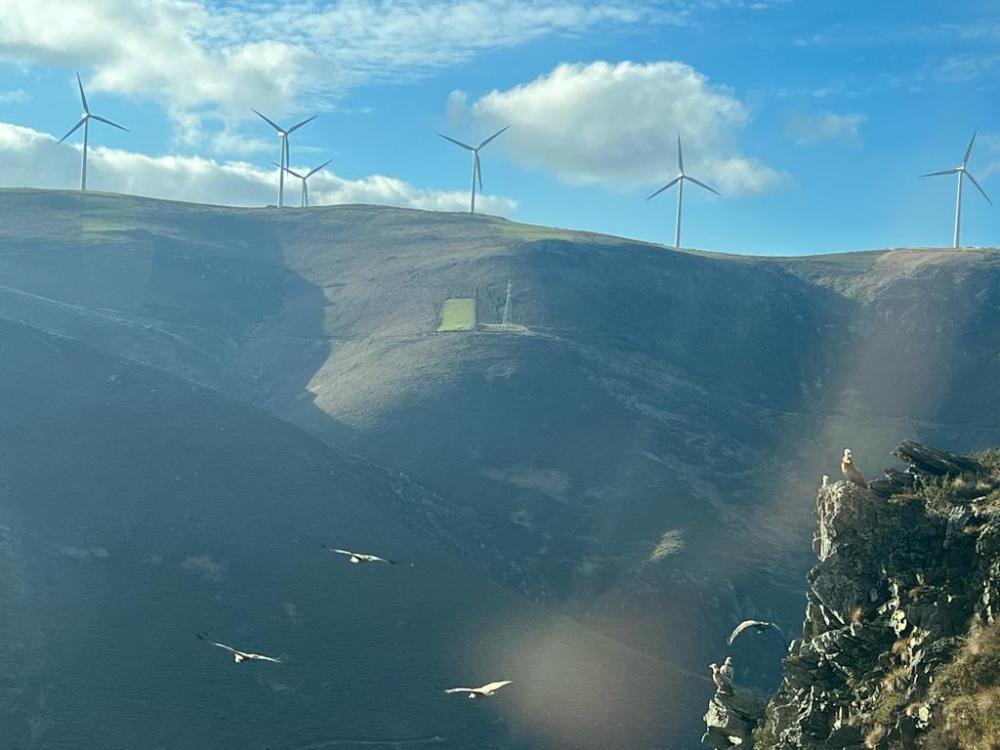 Imagen - El seguimiento por GPS de la fauna silvestre revela carencias clave en la evaluación ambiental de los parques eólicos