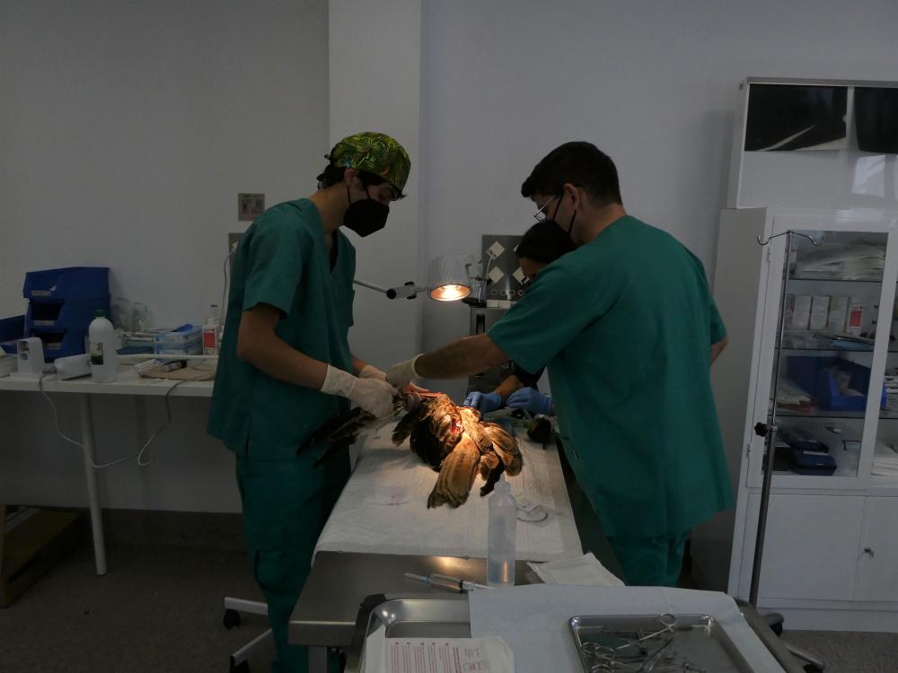 Centro de Recuperación de Fauna Silvestre