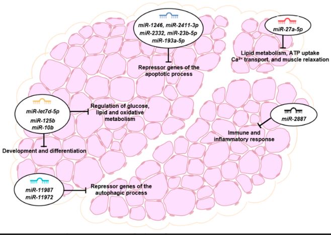 Una de las imágenes del artículo